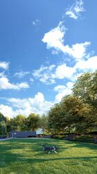 Amber House (D15), Apartment #482391561